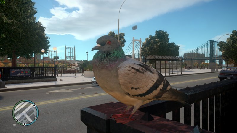 GTA 4 High Quality Pigeons Mod  GTAinside.com